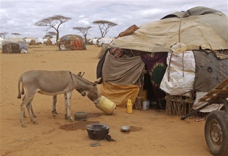 Donkeys try to get water from a container in front of a  home at a refugee camp in Dadaab, Kenya, Thursday, Aug 4, 2011. Dadaab, a camp designed for 90,000 people now houses around 440,000 refugees. Almost all are from war-ravaged Somalia. Some have been here for more than 20 years, when the country first collapsed into anarchy. But now more than 1,000 are arriving daily, fleeing fighting or hunger(AP Photo/Schalk van Zuydam)